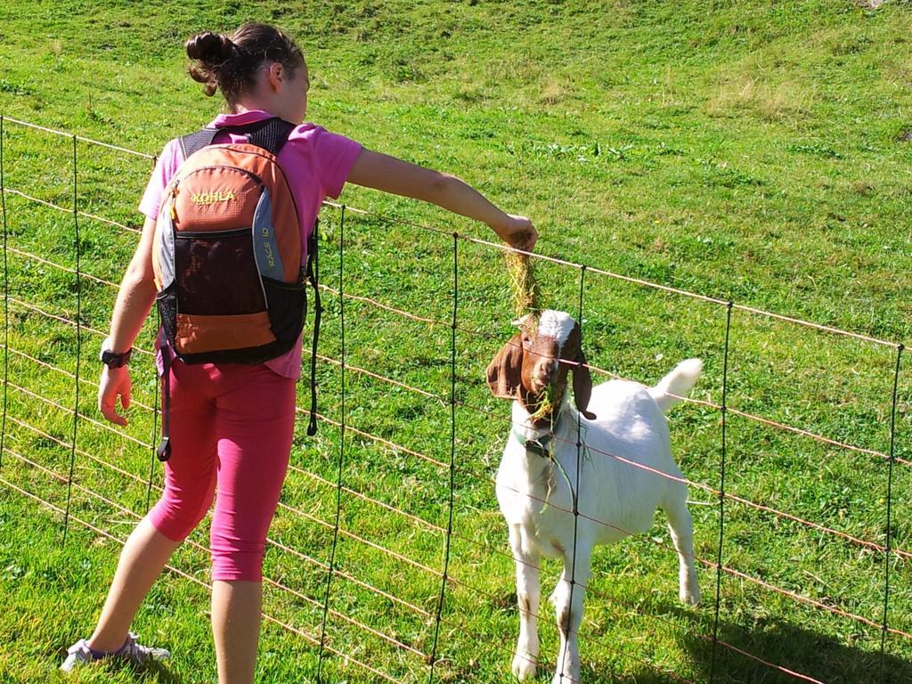 Apart Alpenpension Maderer Gaschurn Kültér fotó